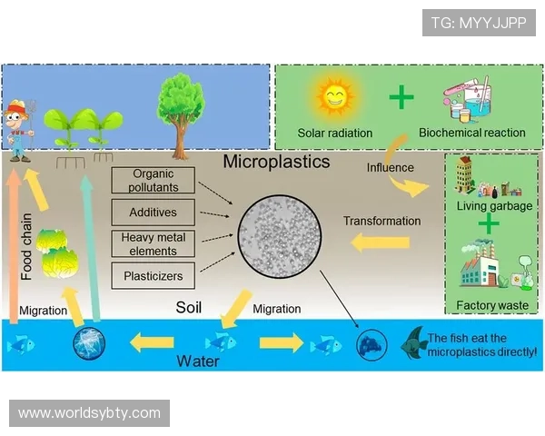 亚博YB官网入口常见登录故障排查指南，快速解决登录中遇到的问题